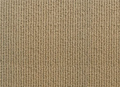 Buckskin