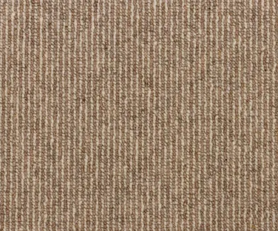 Sand Dune