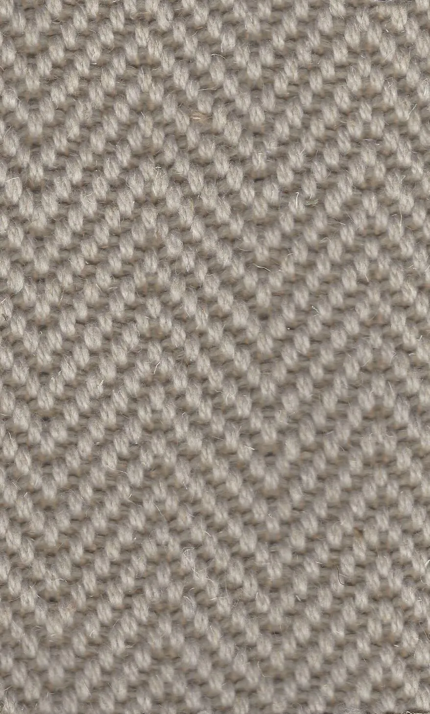 Woolworths Grey