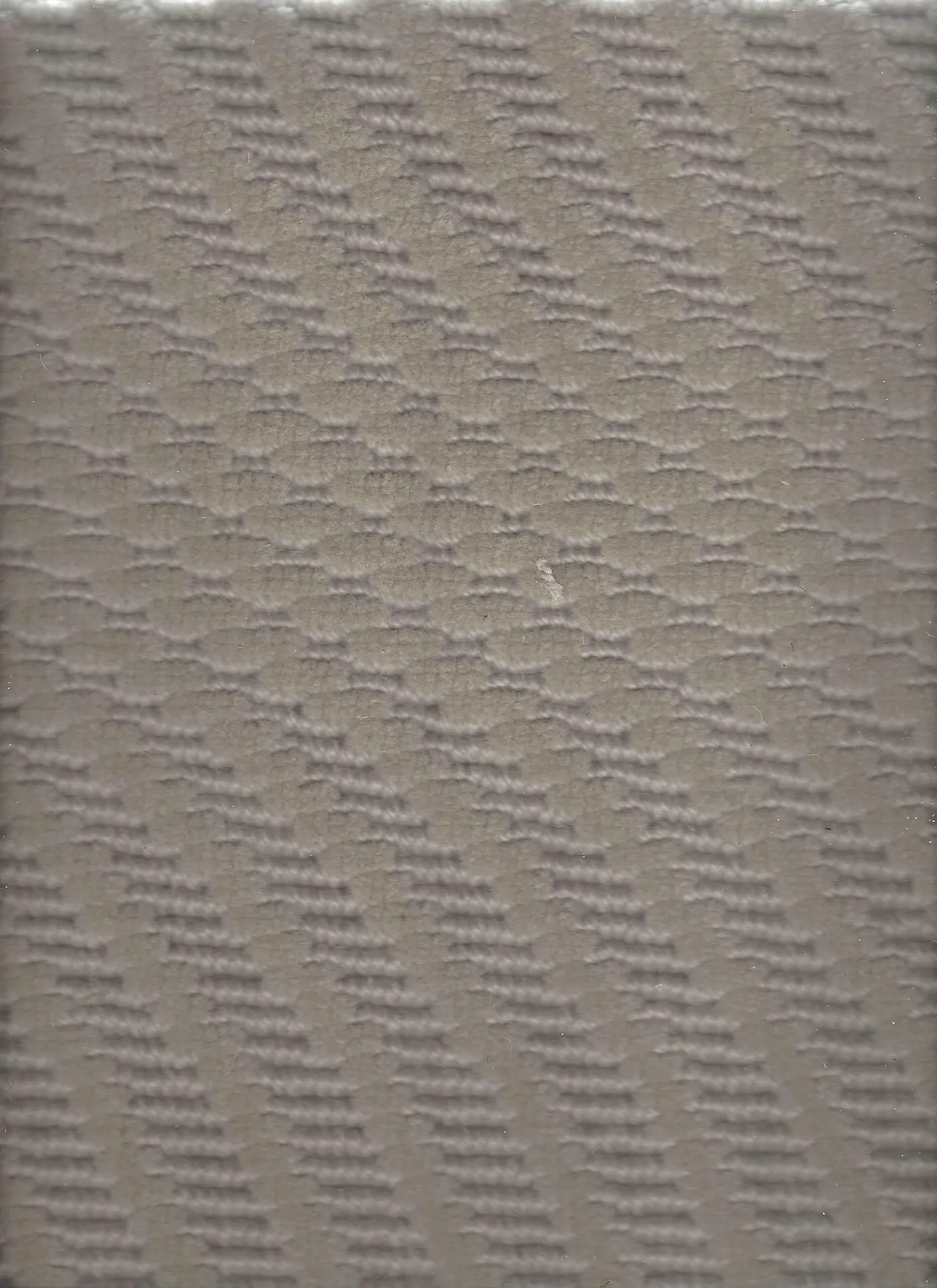 Squawk Taupe