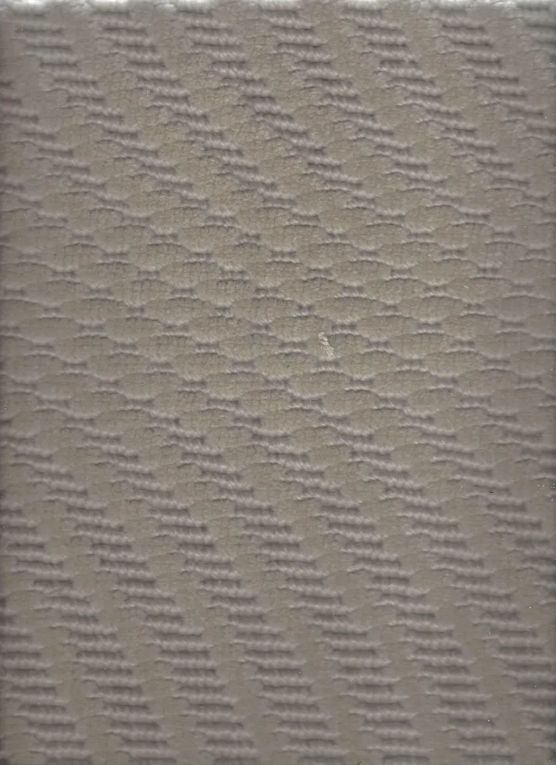 Squawk Taupe