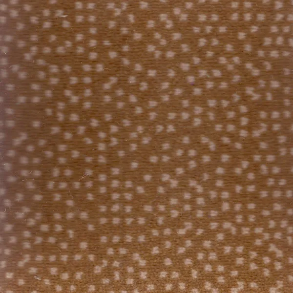 Pinpoint Beige