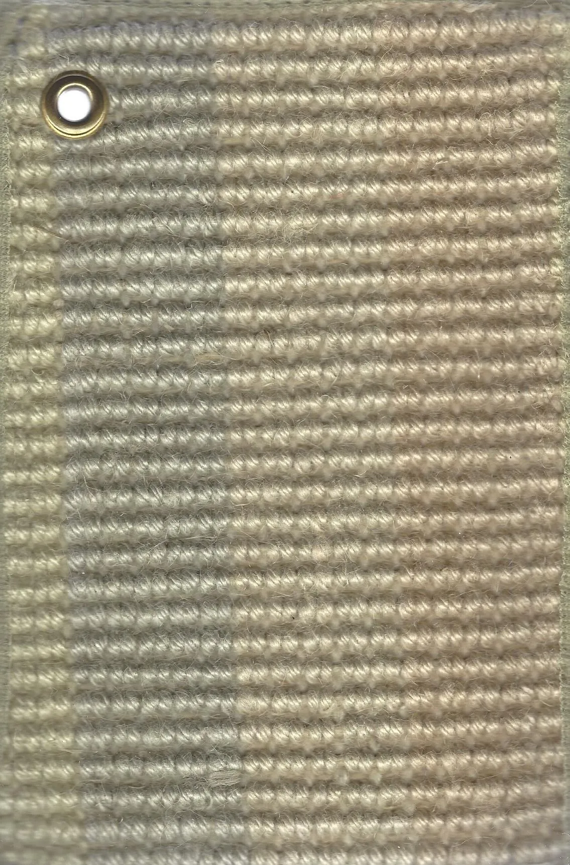 Palmdale Olive