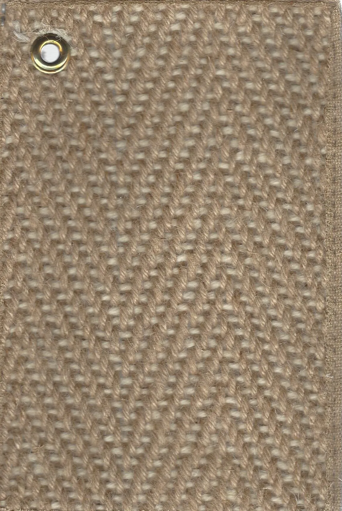 Palm Springs Camel/Bone