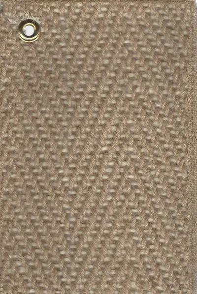 Camel/Bone