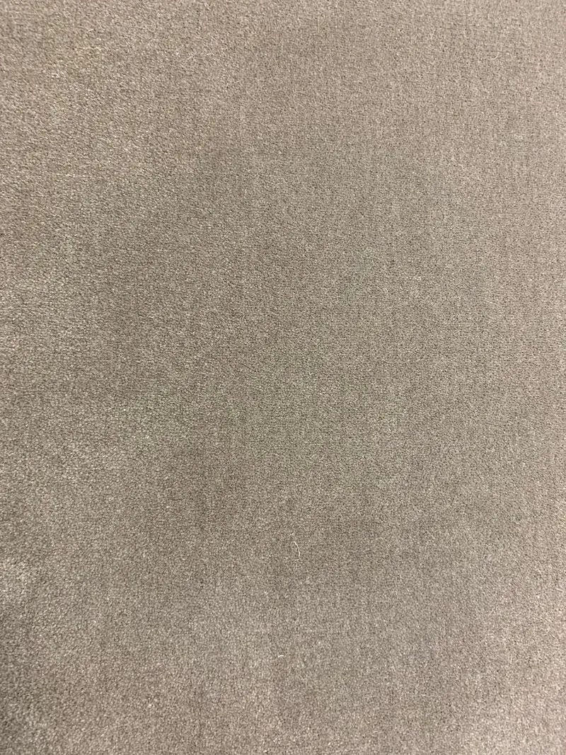 Valencian Velvet 671 Greige