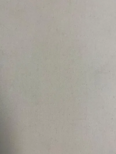 Bone