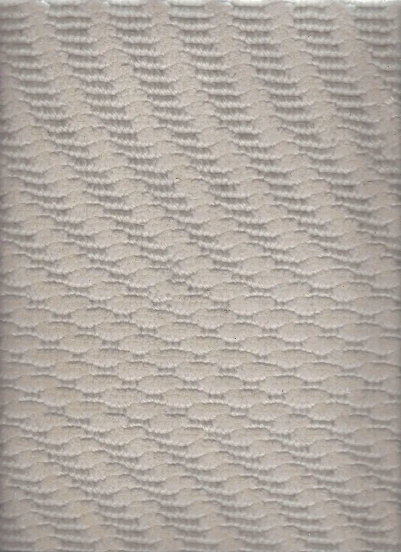 Squawk Ivory