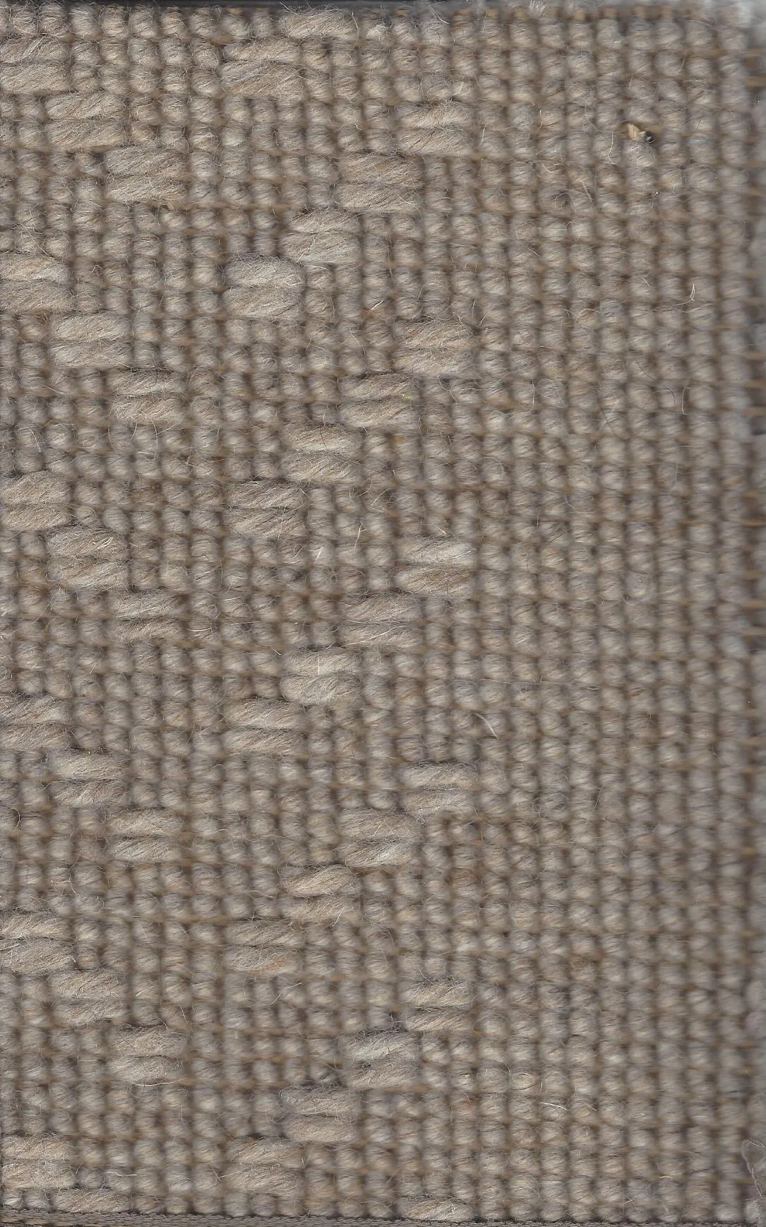 Tiller Beige