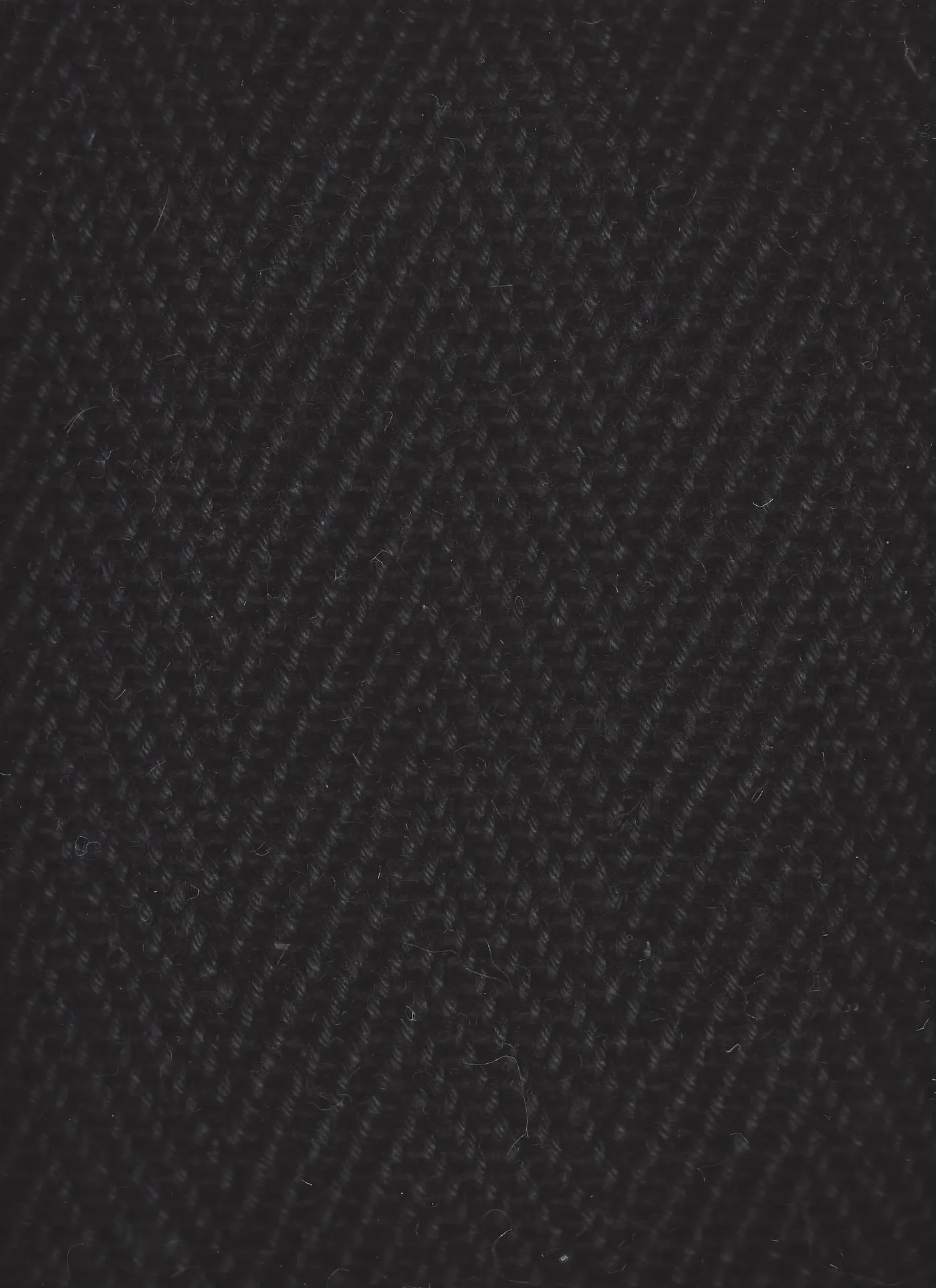 Palm Springs Black