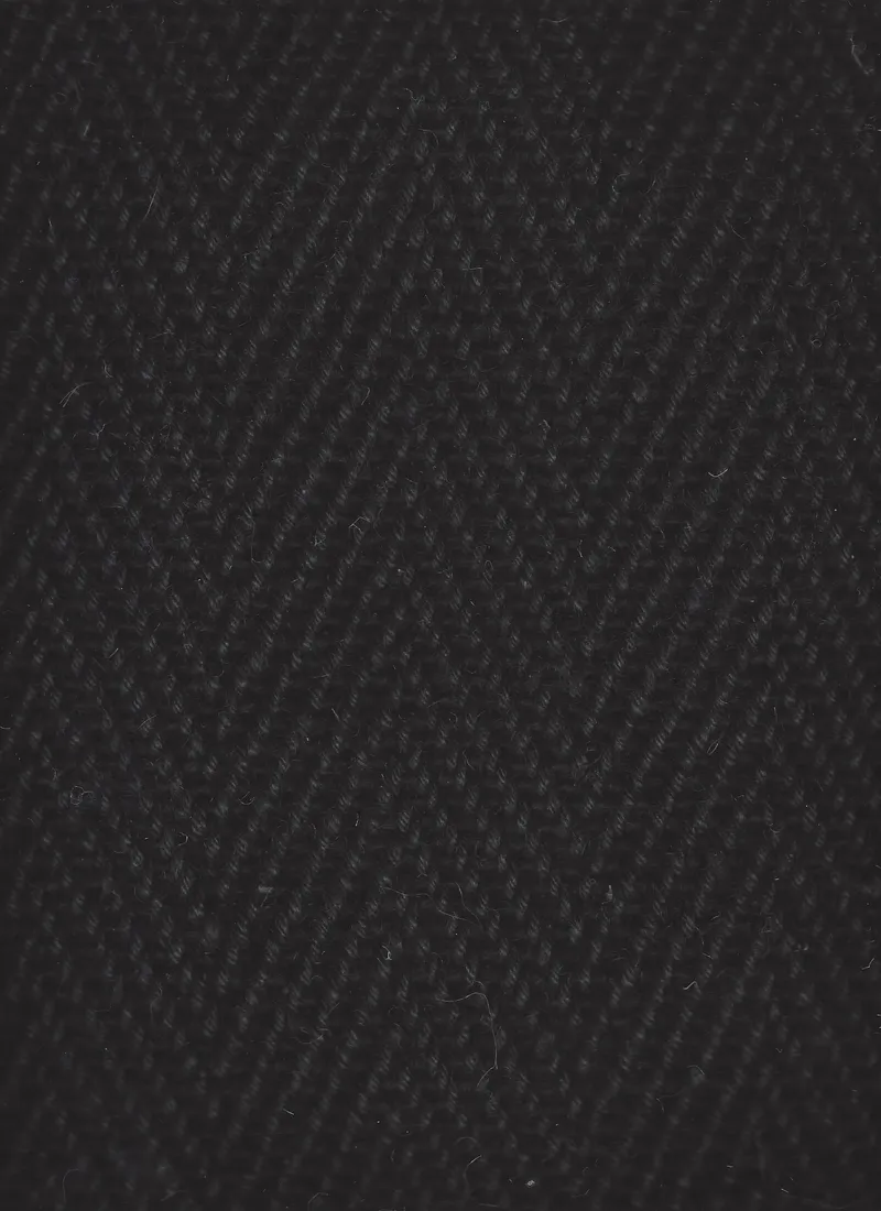 Palm Springs Black