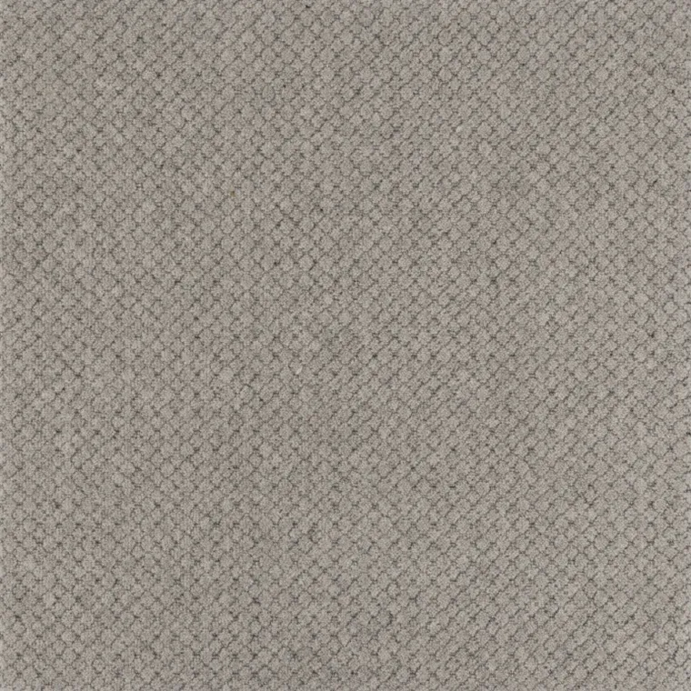 Stipple Cloud