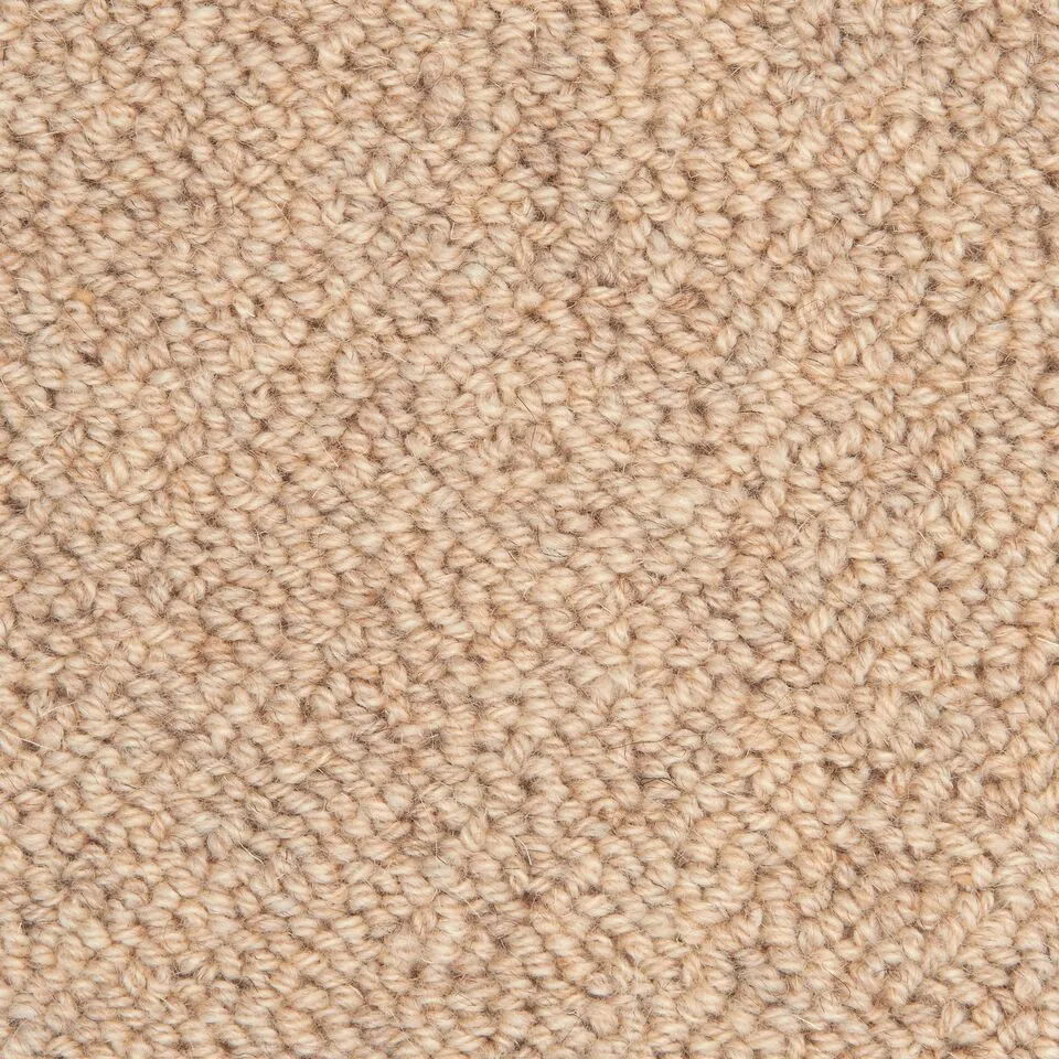 Denali Sandy Shore