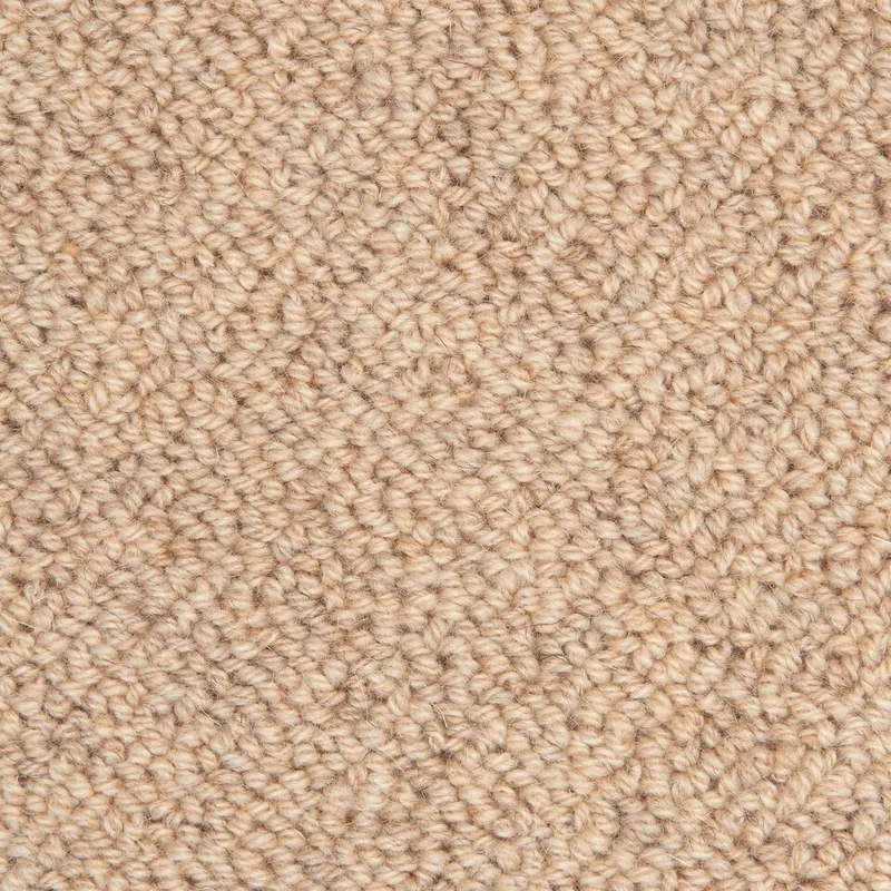 Denali Sandy Shore