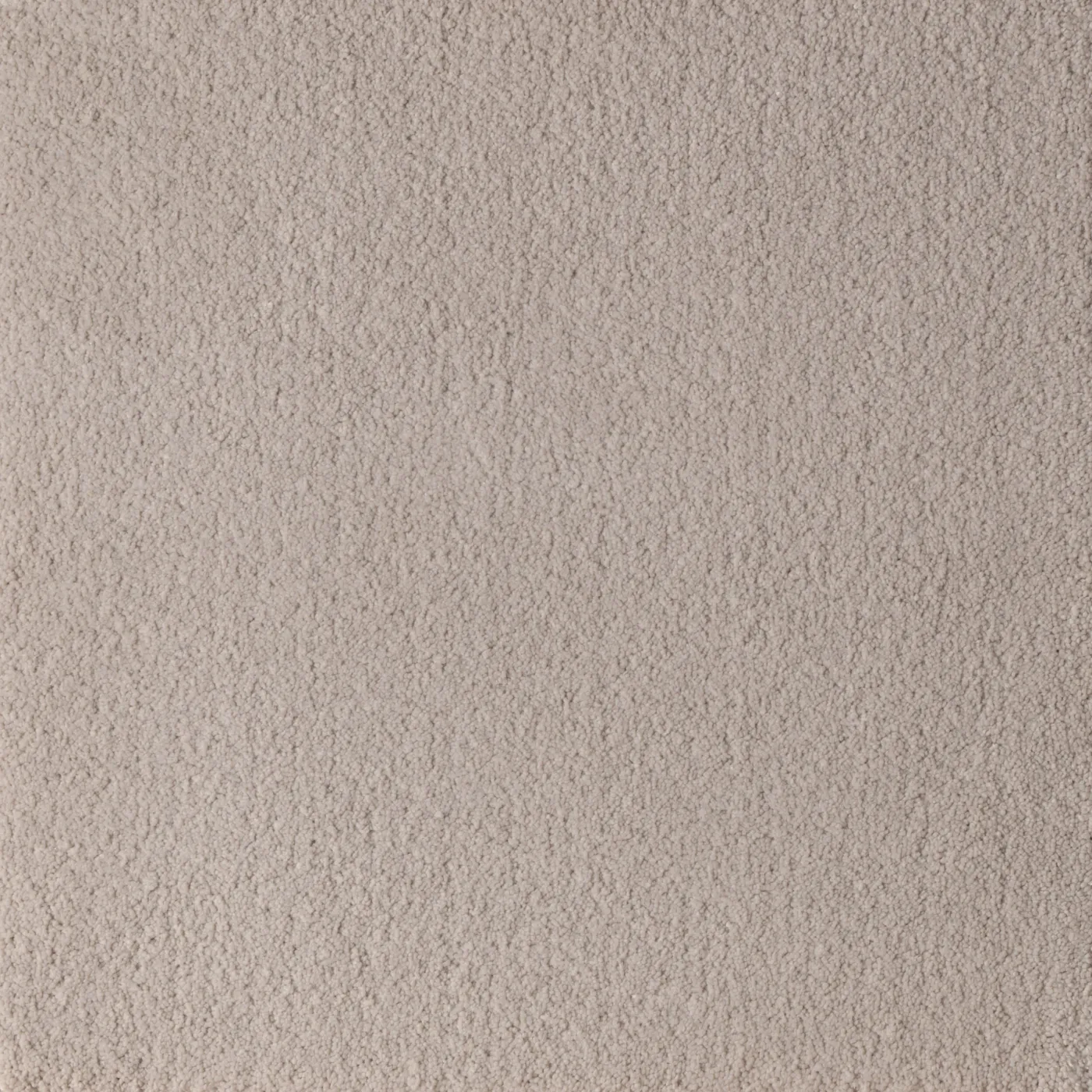 Papyrus Requisite Gray