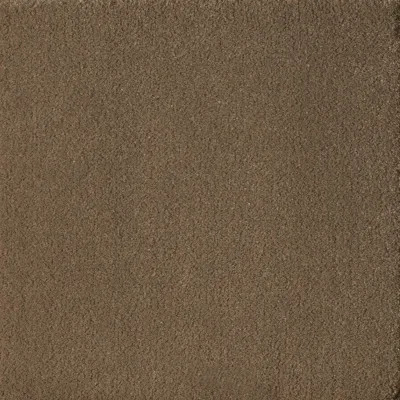 Sand Dune