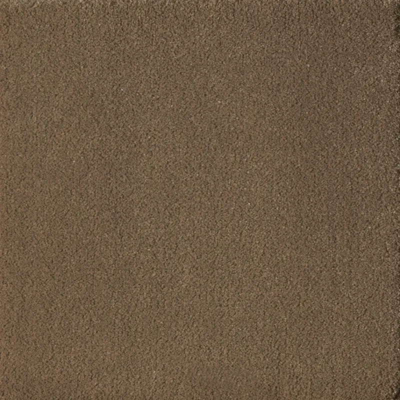 Papyrus Sand Dune