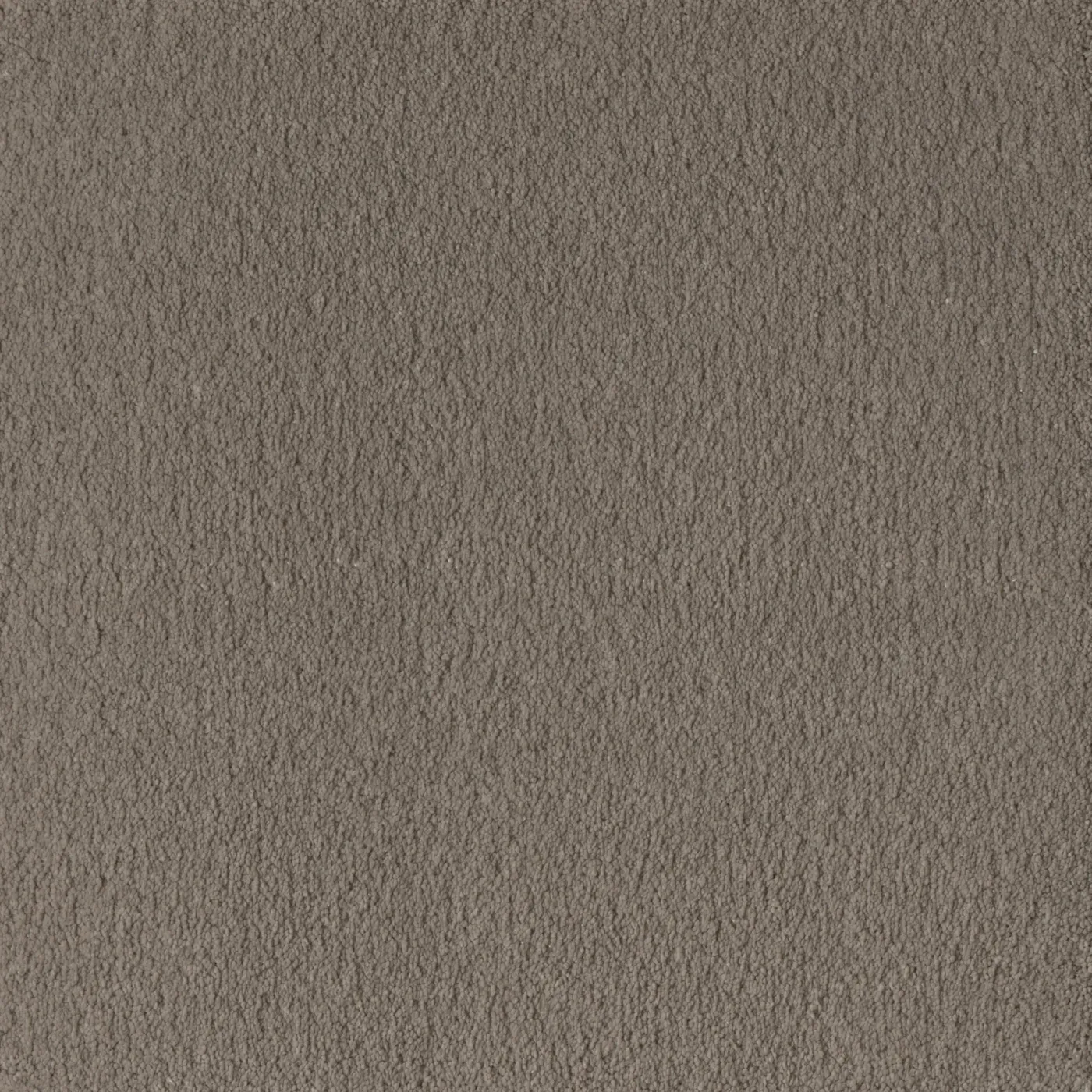 Papyrus Tony Taupe