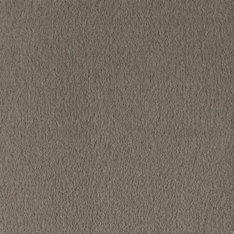 Papyrus Tony Taupe