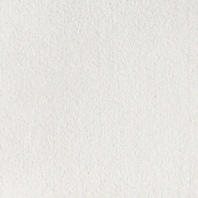 Snowdrift