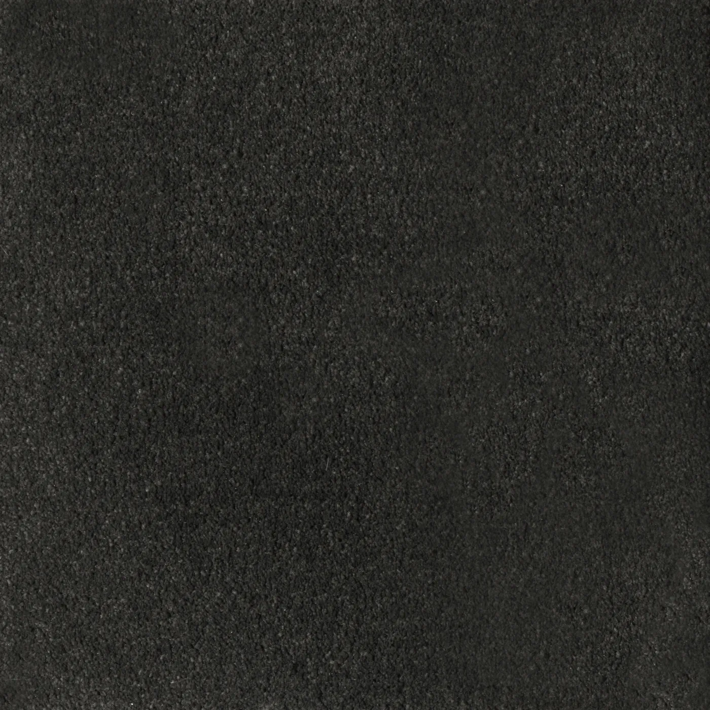 Papyrus Peat