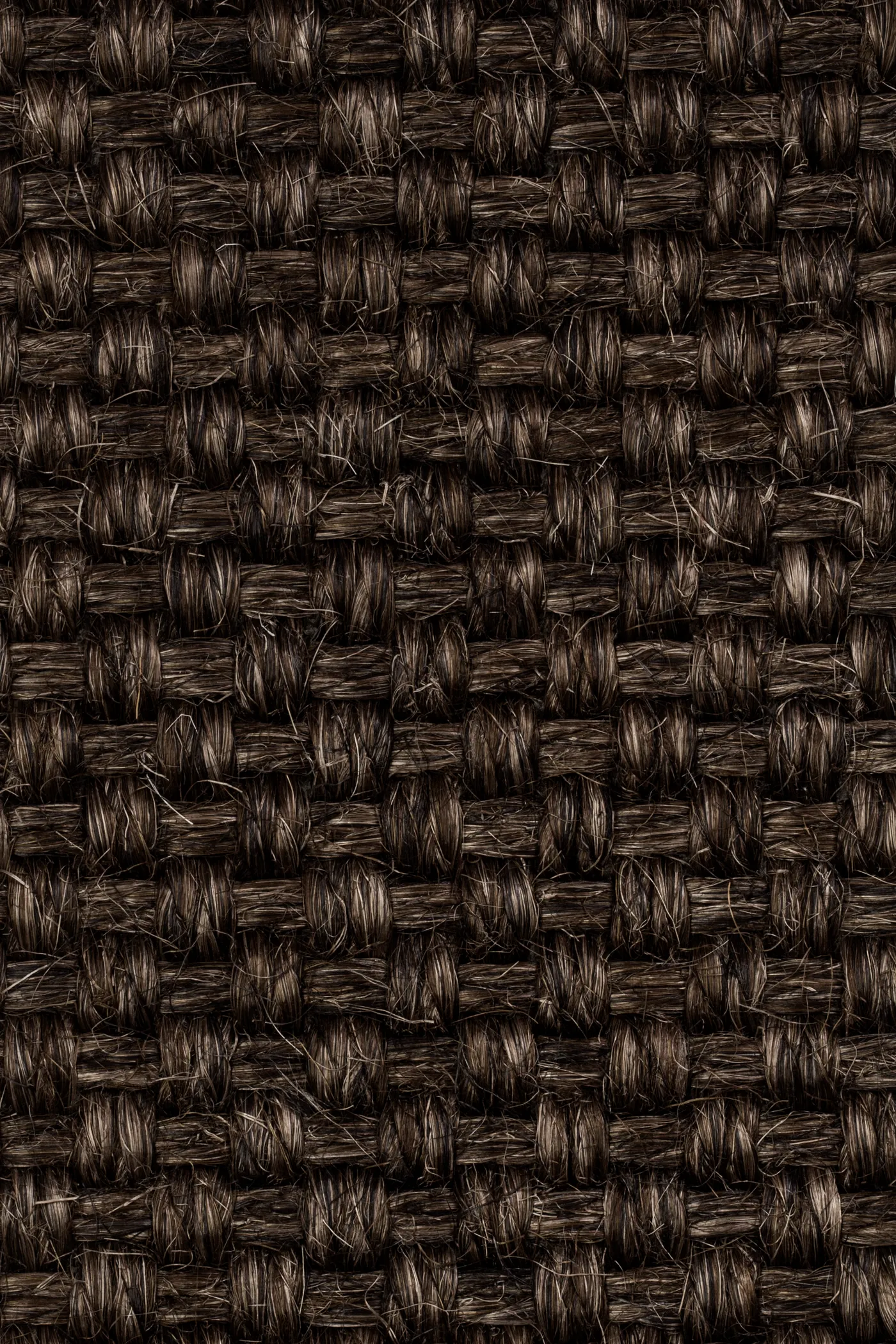 Colora 2854/20