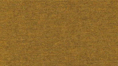 560