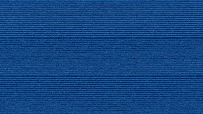 516