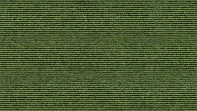 569