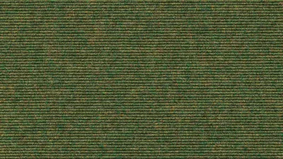 556