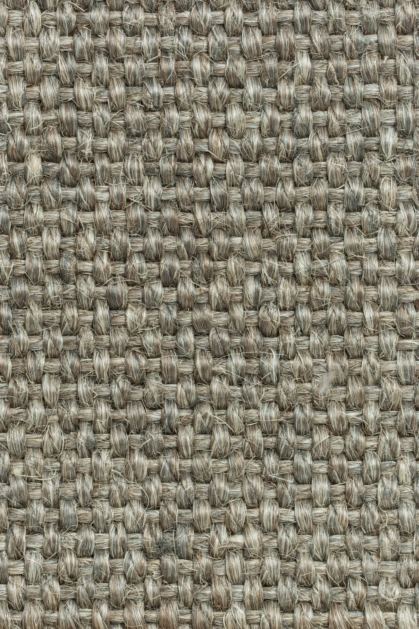 Allegro 2814/20