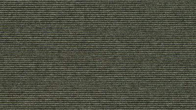 519