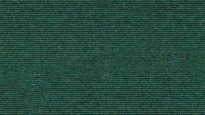 558