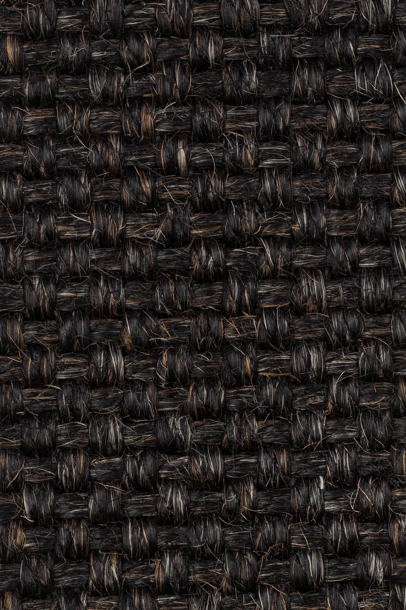 Colora 2855/20