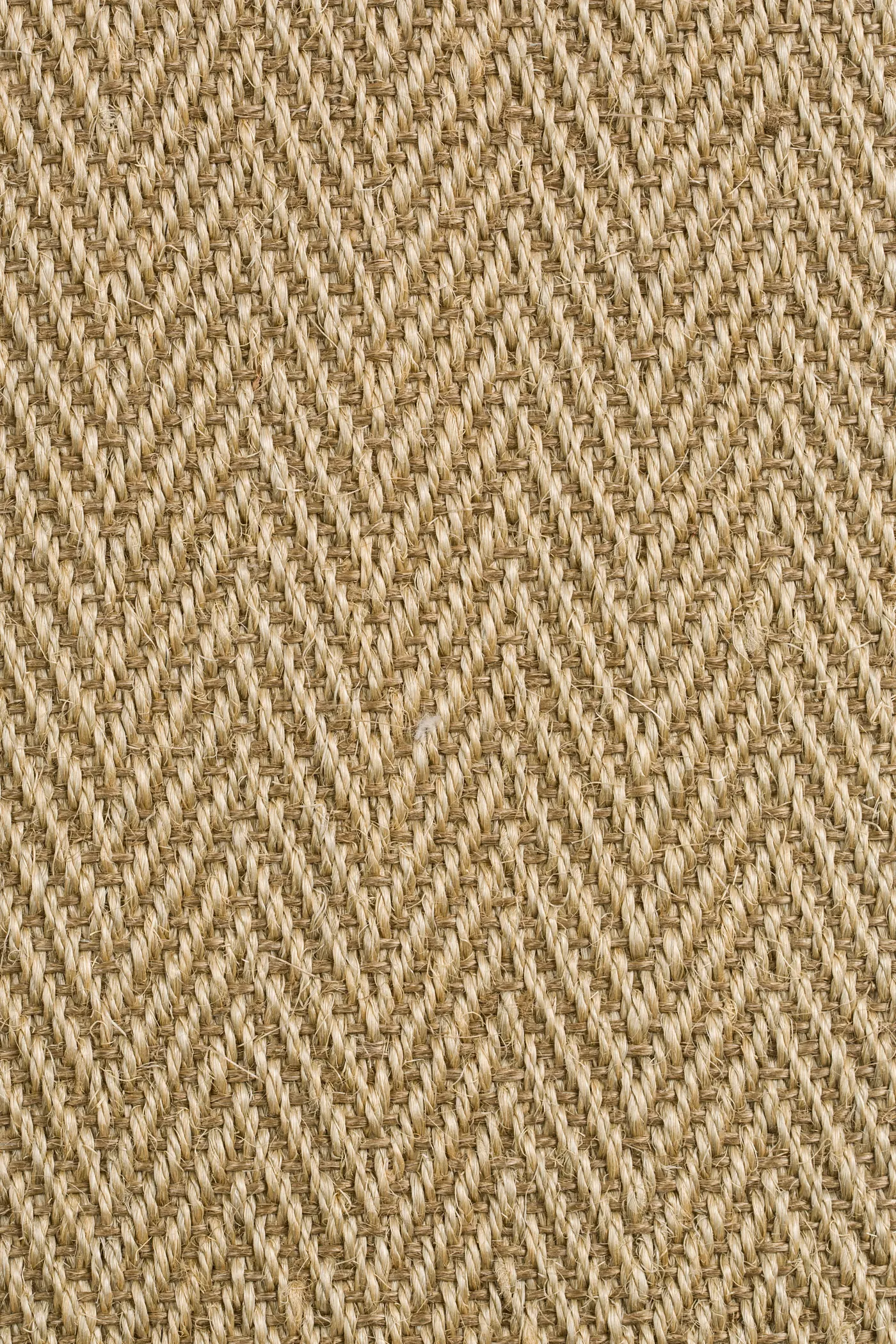 Bellvue 1413/21