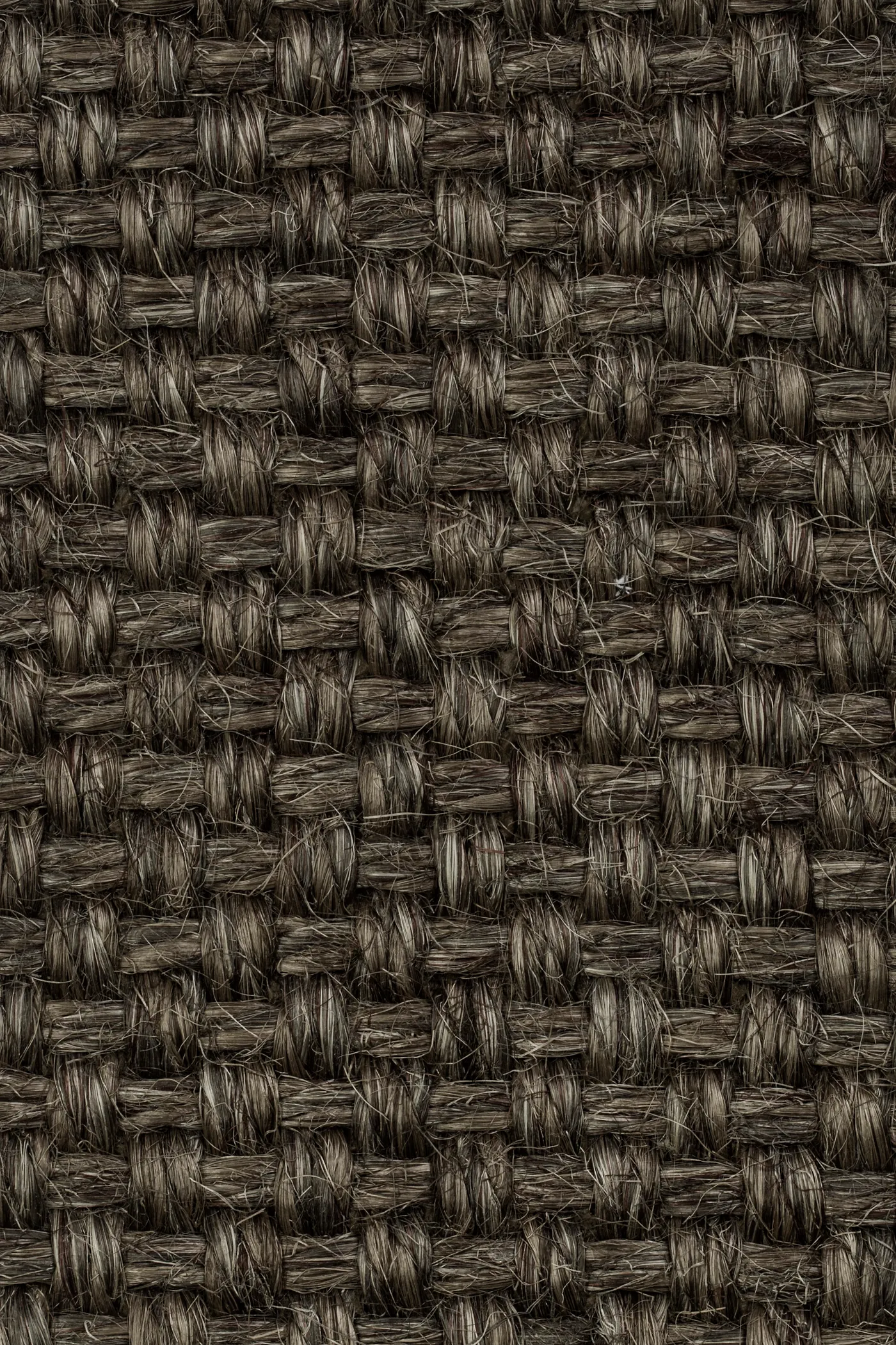 Colora 2853/20