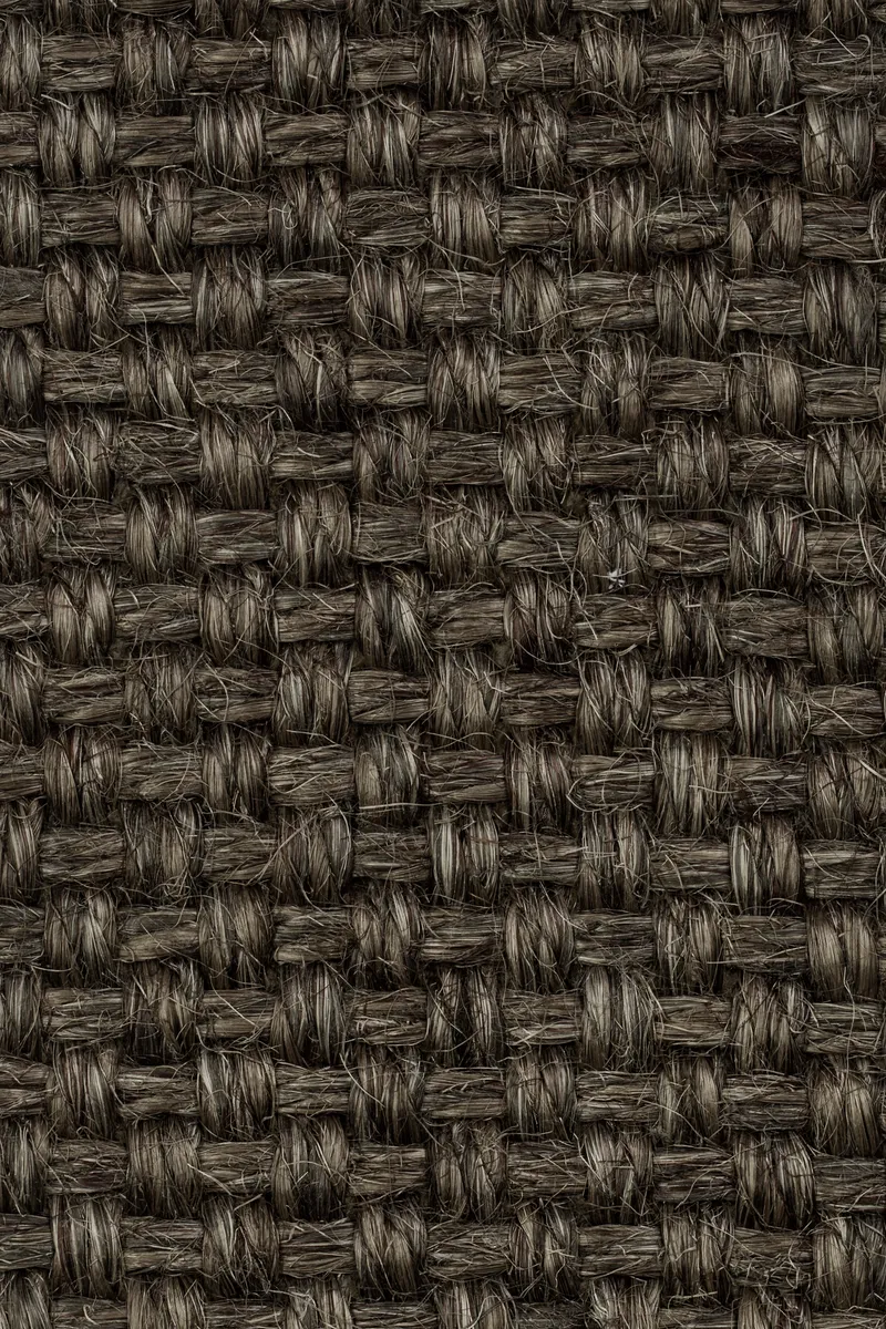 Colora 2853/20