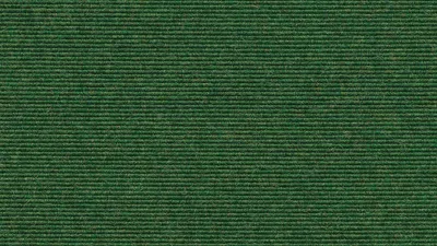 566
