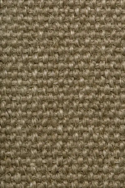 2804/20