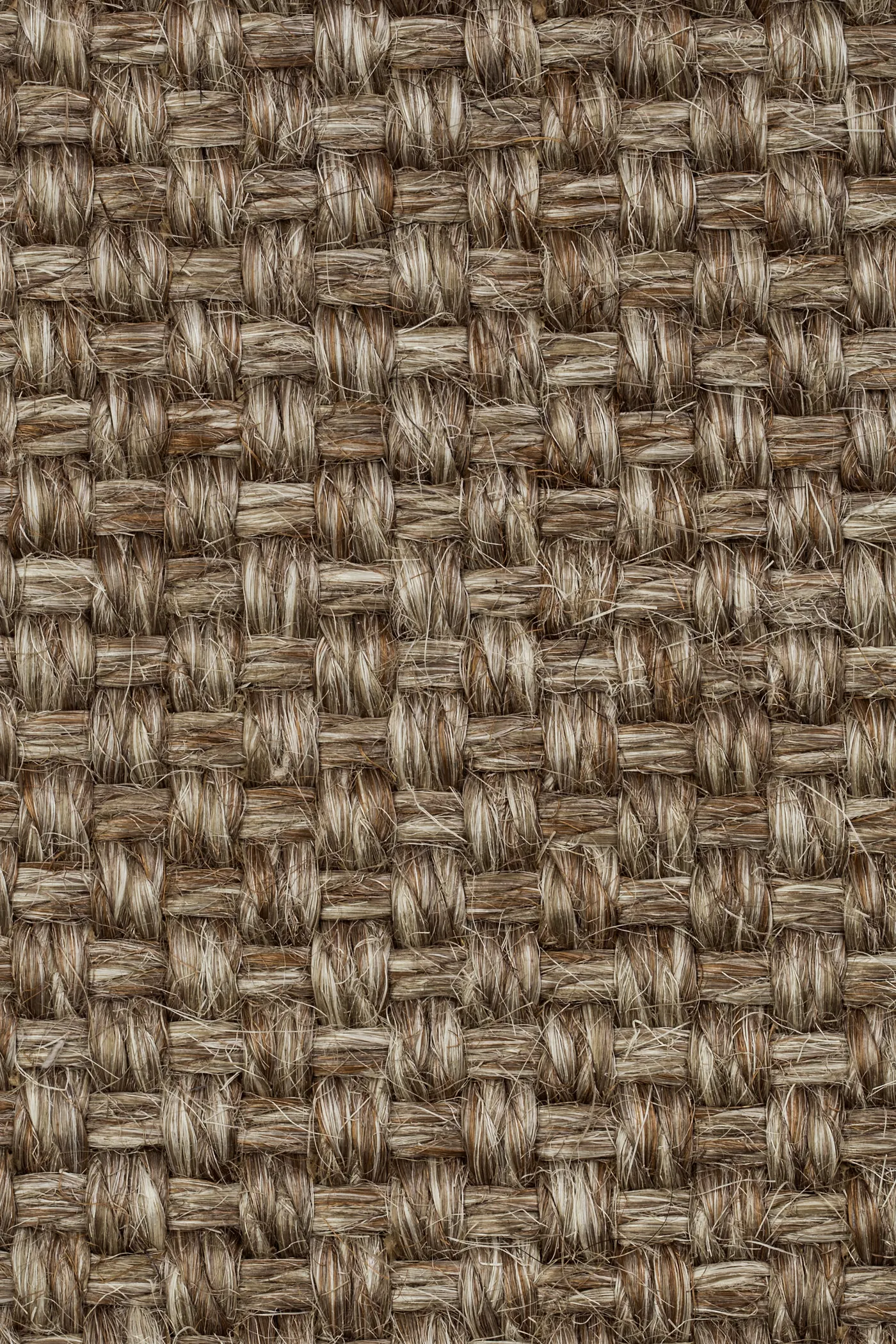 Colora 2852/20