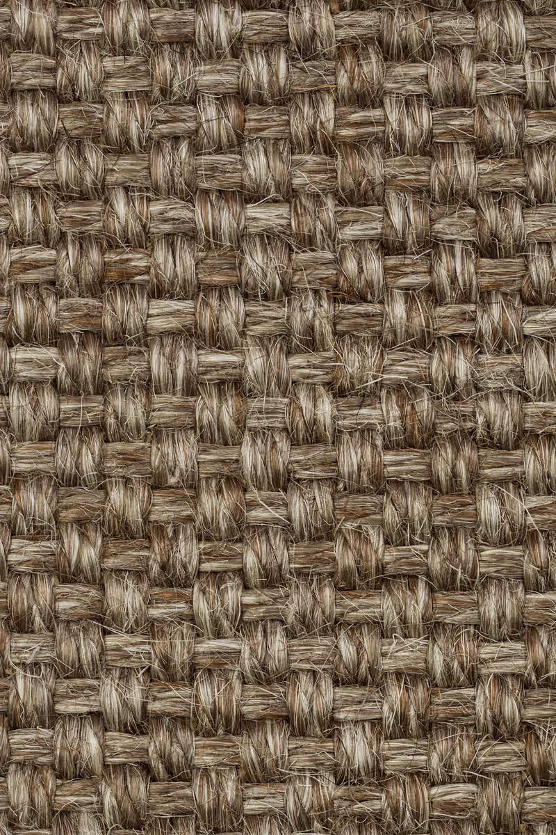 Colora 2852/20