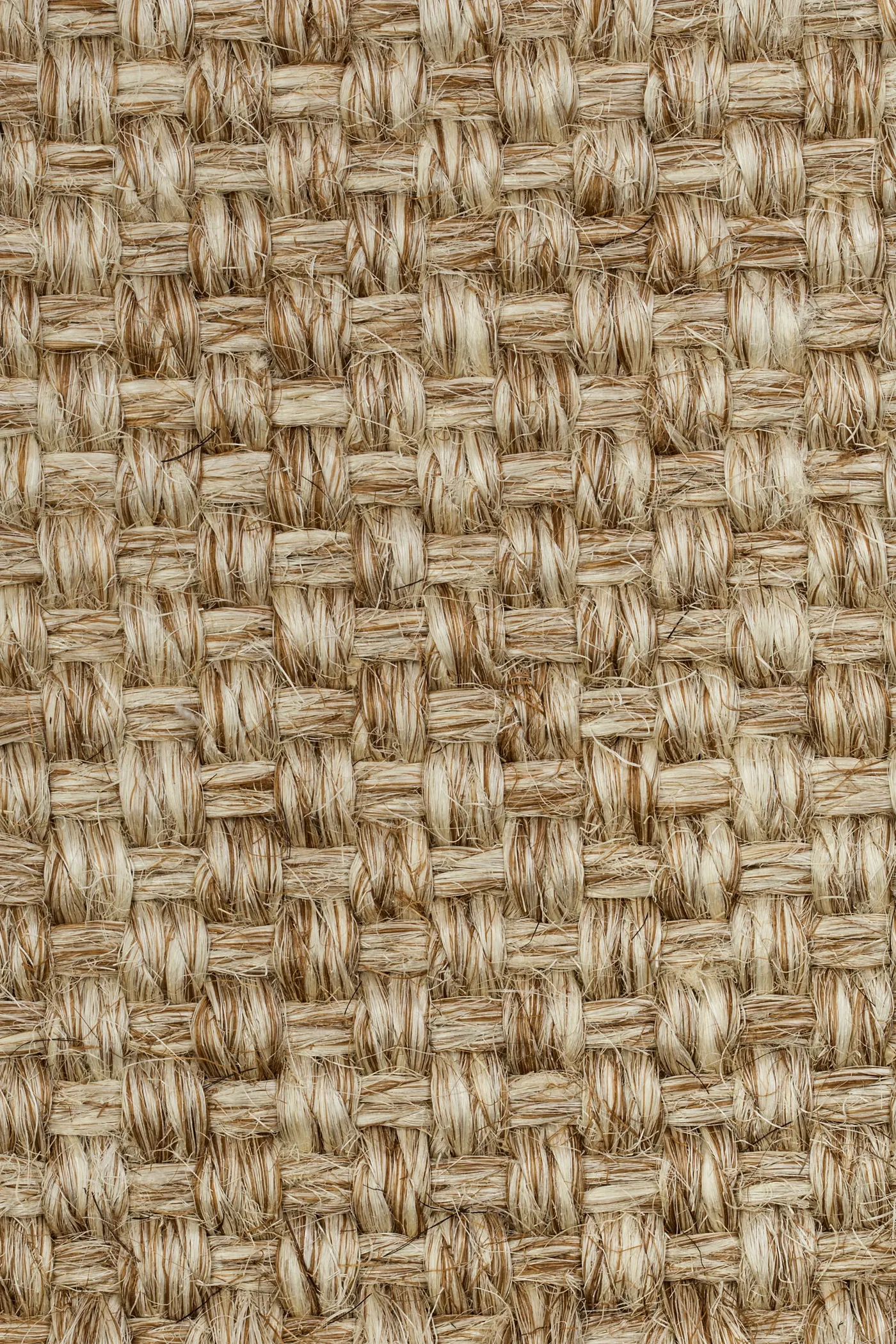 Colora 2851/20
