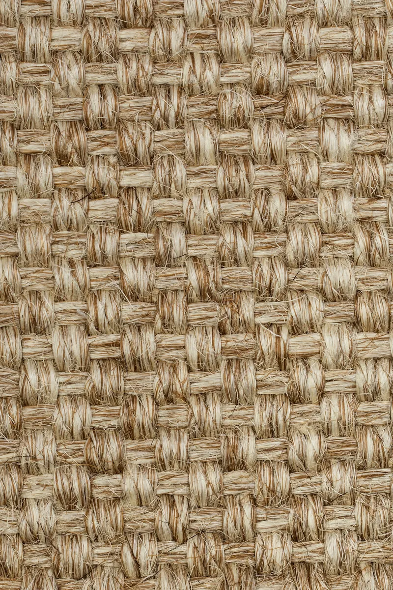 Colora 2851/20