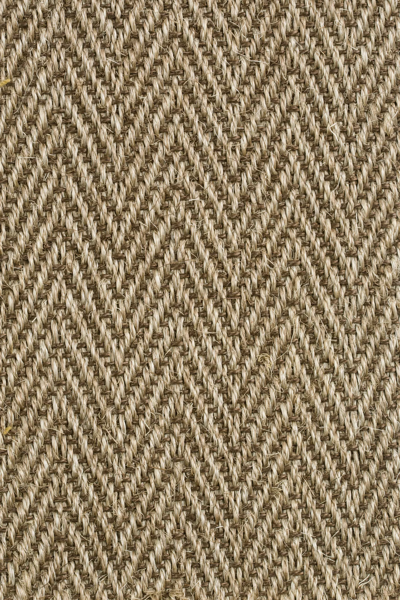 Bellvue 1414/21