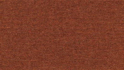 559