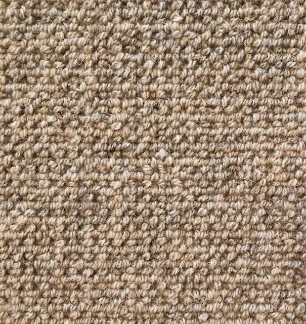 Sussex Almond