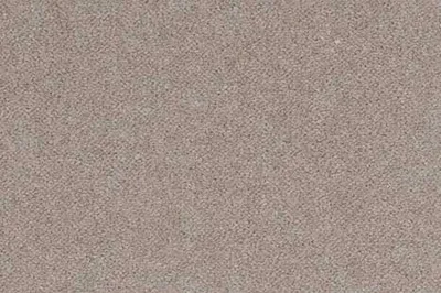 Iron