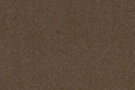 VELVETINE Taupe