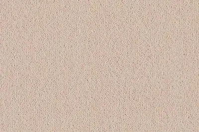 Impala