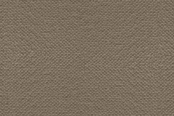 Auckland MORTAR - 28/1428